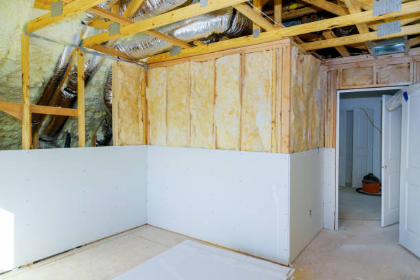 Best Basement Insulation  in Coldwater, MI