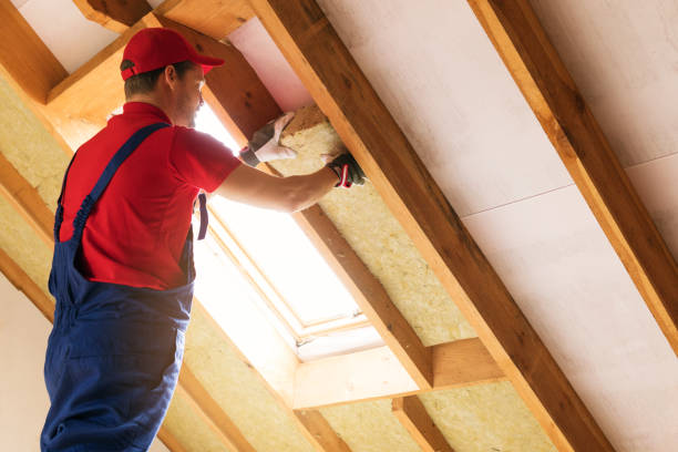 Best Insulation Air Sealing  in Coldwater, MI